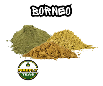 Borneo - Southeast Asia Tea - Firefly Teas