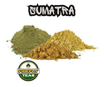 Sumatra - Southeast Asia Tea - Firefly Teas